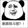 表情大全软件