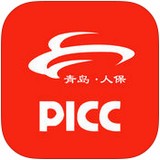 青岛人保软件