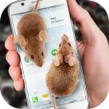 Mouse翻译软件