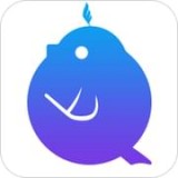 音壳音乐教师软件