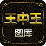 王中王出题软件