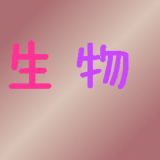 初中生英语助手软件