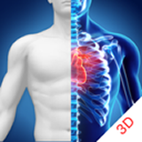 3d人体解剖图谱软件