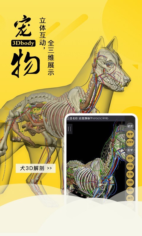 3Dbody宠物
