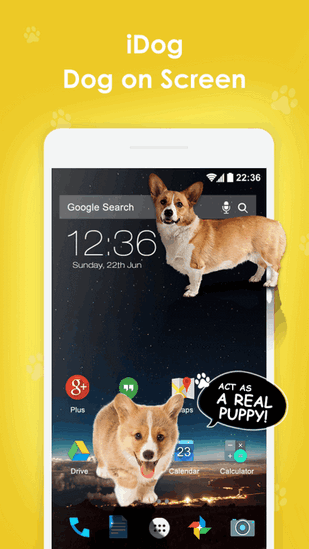 iDoctor