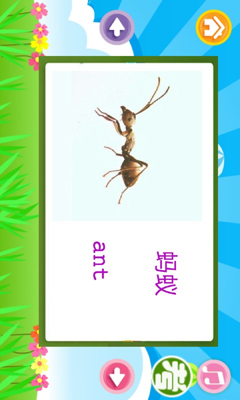 儿童英语岛软件截图