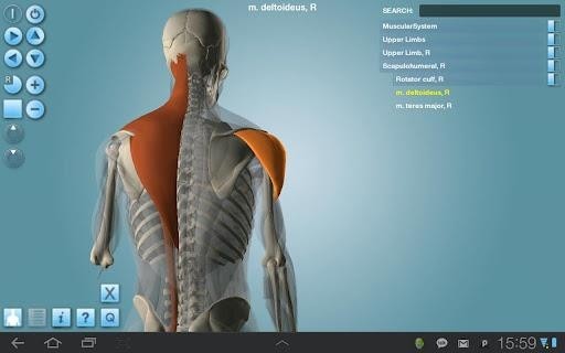 Anatomy 3D软件截图
