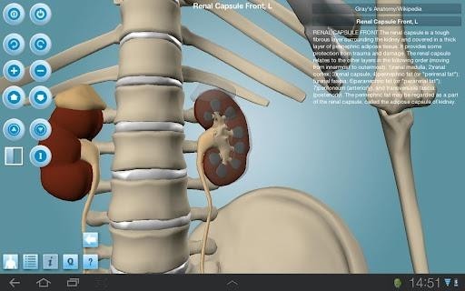 Anatomy 3D软件截图
