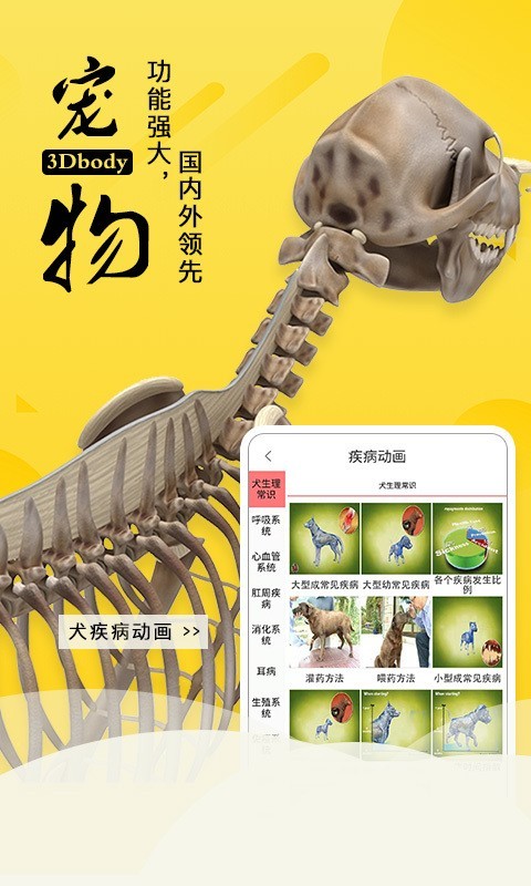 3Dbody宠物软件截图