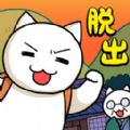 猫与秘密宝藏手游
