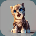 真实小猫3D模拟手游