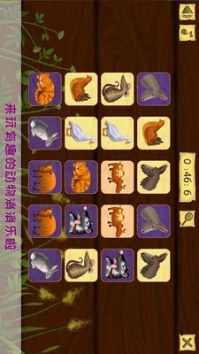 托卡小萌娃世界